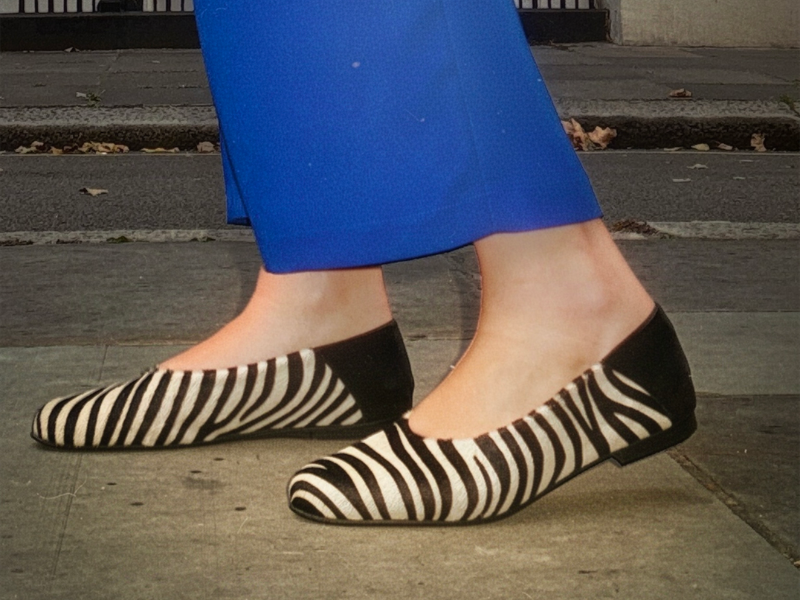 Balerini 3704 Ponei Zebra