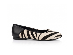 Balerini 3704 Ponei Zebra Mare