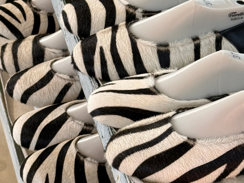 Balerini 3704 Ponei Zebra Mare
