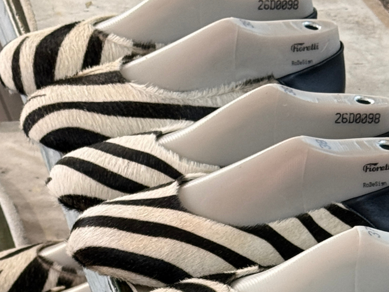 Balerini 3704 Ponei Zebra Mare
